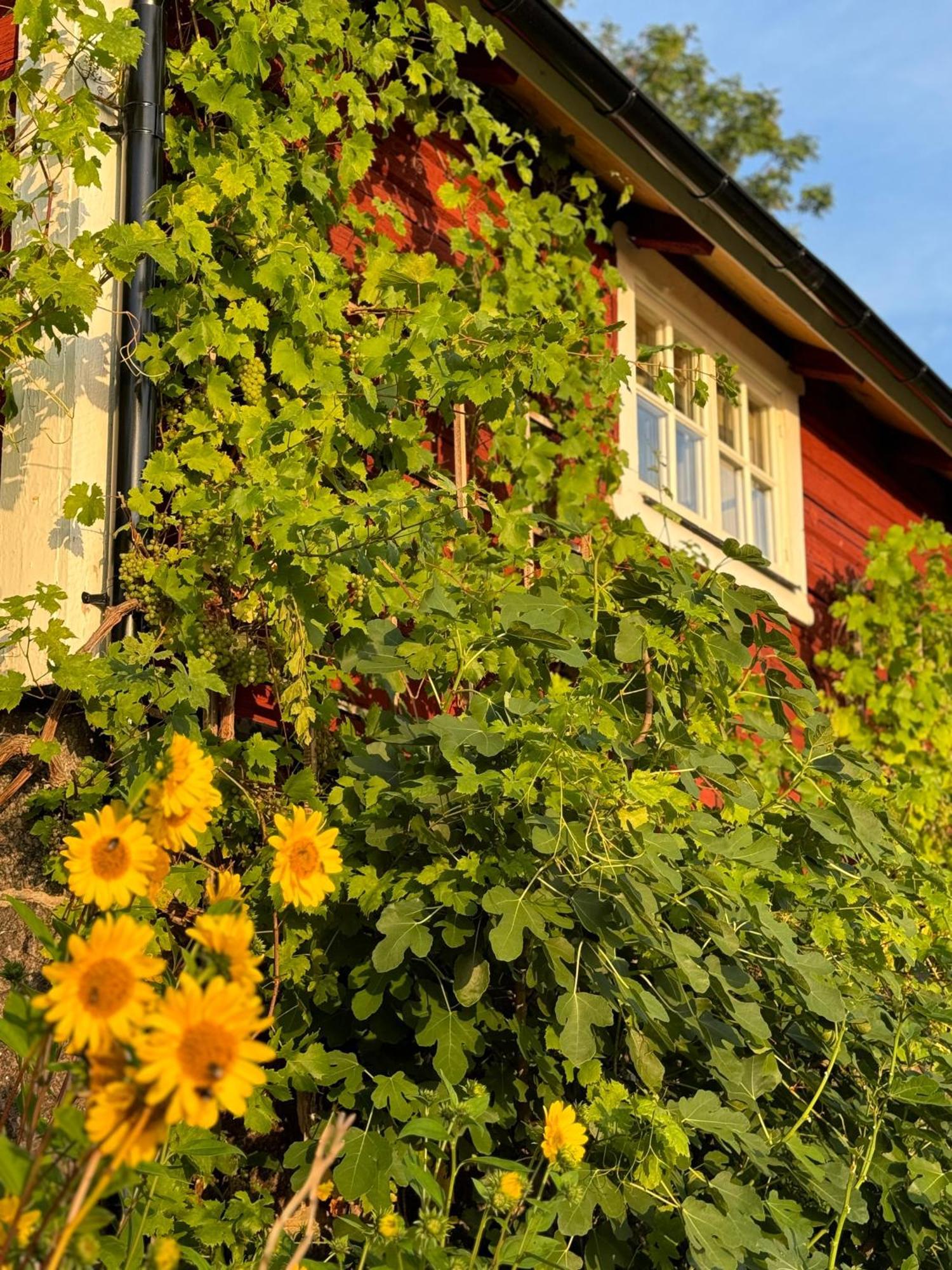 Willa Brunstorpsgard Braenneriet Huskvarna Zewnętrze zdjęcie